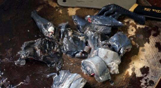 冬蟲夏草滋補燉湯的做法步驟圖,冬蟲夏草滋補燉湯怎么做怎么做好吃,冬蟲夏草滋補燉湯的做法步驟圖,冬蟲夏草滋補燉湯怎么做的做法步驟