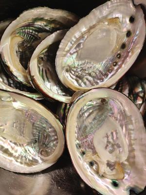 清蒸鮑魚怎么做好吃,清蒸鮑魚的做法步驟