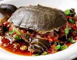 甲魚的家燒做法的做法視頻,甲魚的家燒做法怎么做好吃