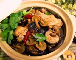 小雞燉蘑菇怎么做好吃,小雞燉蘑菇的家常做法的做法視頻,小雞燉蘑菇怎么做好吃,小雞燉蘑菇的家常做法怎么做好吃