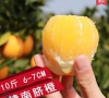 江西贛南臍橙10斤包郵