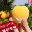 江西贛南臍橙10斤包郵