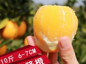 江西贛南臍橙10斤包郵