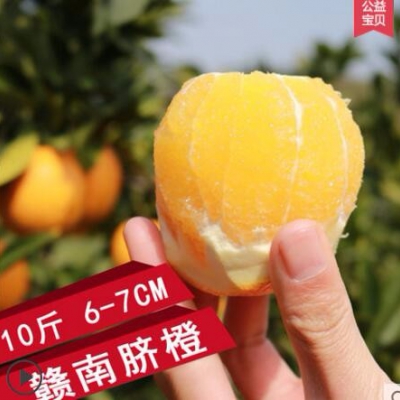 江西贛南臍橙10斤包郵