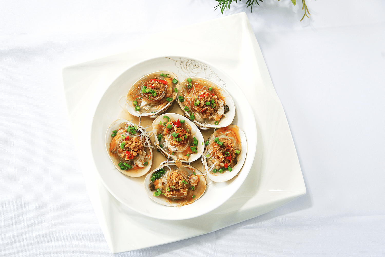 沙茶清蒸北極貝怎么做好吃,沙茶清蒸北極貝的做法步驟