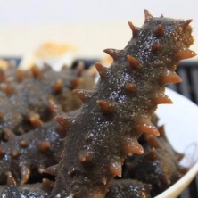 宮品海參3A淡干海參