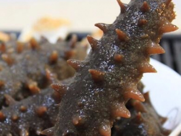 宮品海參3A淡干海參