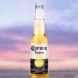 CORONA科羅娜啤酒精釀小麥啤酒