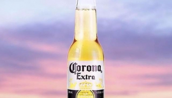 CORONA科羅娜啤酒精釀小麥啤酒