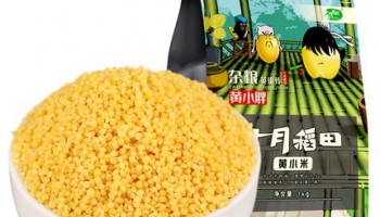 十月稻田黃小米1kg紅谷小米