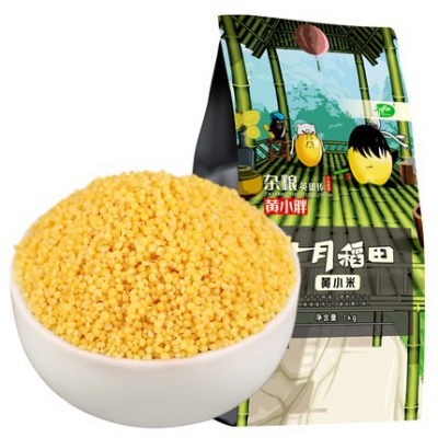 十月稻田黃小米1kg紅谷小米