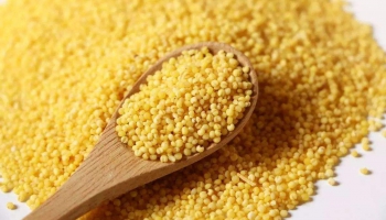 【柴米油鹽】用戶喜愛的10大小米品牌