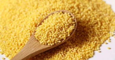 【柴米油鹽】用戶喜愛的10大小米品牌