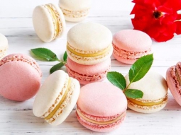 馬卡龍的做法視頻,馬卡龍怎么做好吃