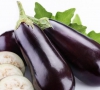 茄子的做法大全