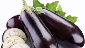 茄子的做法大全