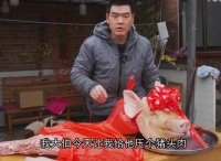 阿遠過年做傳統(tǒng)菜“壓豬頭肉”，又壓了幾個豬肘，老爸吃開心了