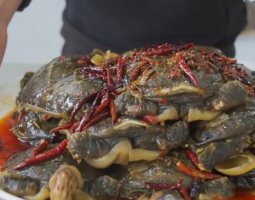 阿遠(yuǎn)教你做“紅油小甲魚(yú)”的做法視頻,阿遠(yuǎn)教你做“紅油小甲魚(yú)”怎么做好吃
