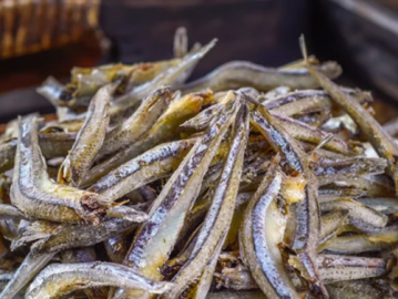 海燕魚小咸魚干干貨